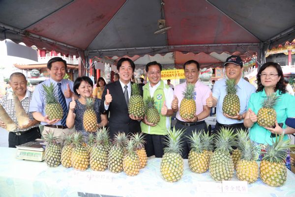 2015臺南鳳梨好筍季開幕 鳳梨、竹筍正當季 好吃又健康