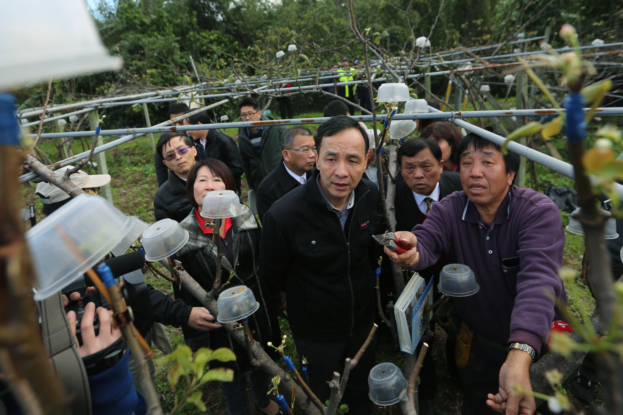 寒流造成農損嚴重 朱立倫:全力協助農民申請現金救助及資材補助