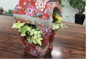 台北花市推出今年人氣最旺的新春盆花 散發濃厚節慶氣息