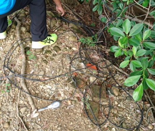 鴛鴦盜行竊後裝路人甲 仁警分局員警識破逮捕歸案