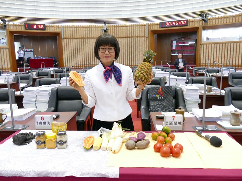 高雄市議員李喬如總質詢抨擊政府對空污問題束手無策