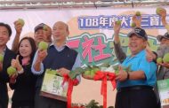 高雄市長韓國瑜大社促銷蜜棗芭樂 民眾熱烈歡迎
