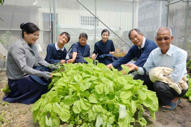 慈濟志工 響應證嚴上人以慈悲養息守護環境