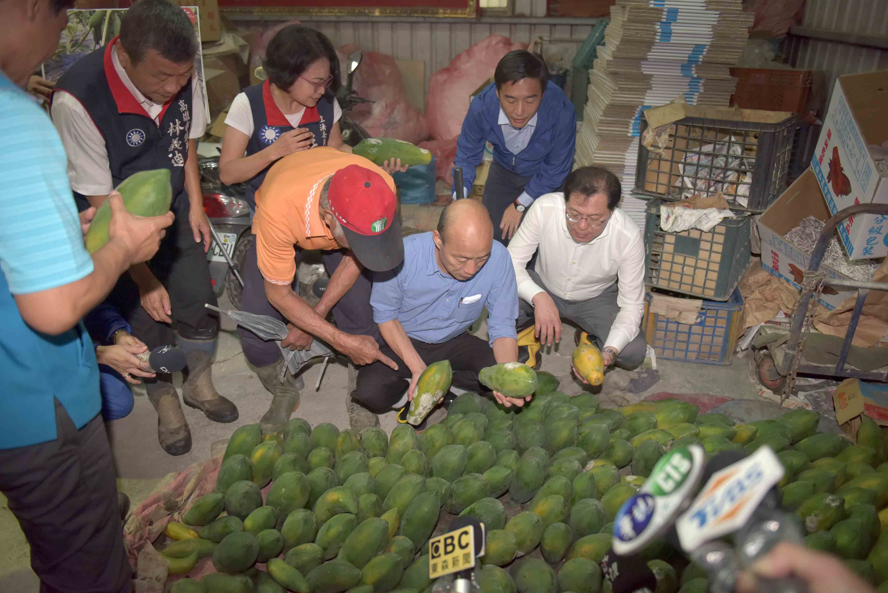 韓國瑜訪視木瓜農損 協助復耕 感謝行政院同意現金救助