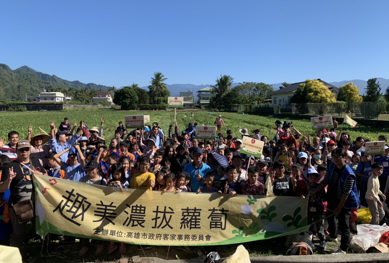 體驗拔蘿蔔的樂趣  美濃一日農夫好快樂