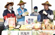 體驗採收鳳梨 高雄市長韓國瑜鼓勵多購買在地農產