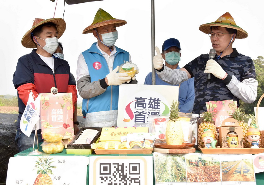 體驗採收鳳梨 高雄市長韓國瑜鼓勵多購買在地農產