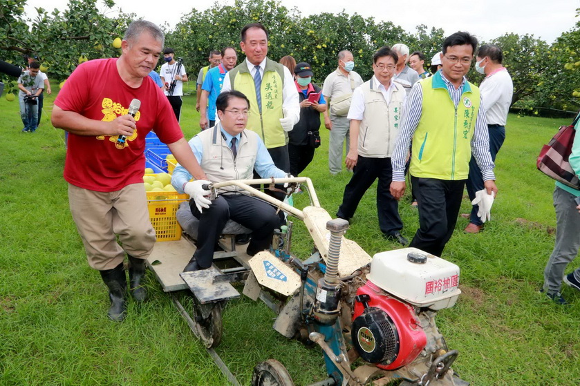 台南市長黃偉哲視察文旦產銷 啟動大果收購