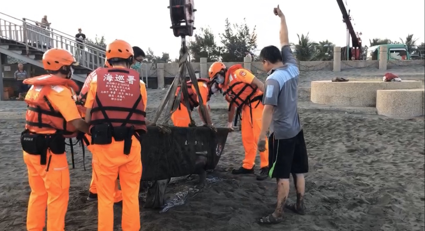 花紋海豚遭鯊吻擱淺沙灘 海巡徹夜守護協助救治