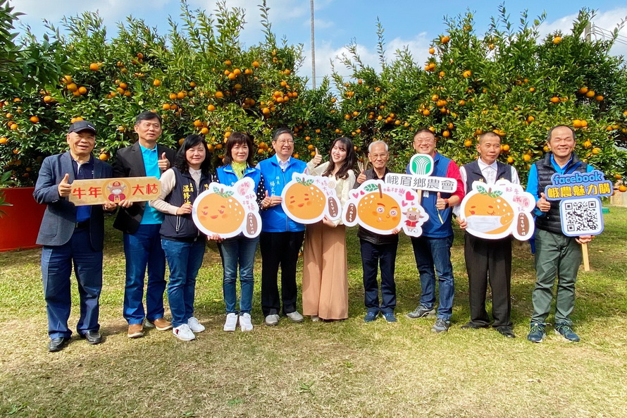 峨眉桶柑節取消 新竹縣長楊文科網路行銷拚買氣