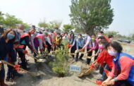 彰縣植樹社頭登場 縣長王惠美種樹苗