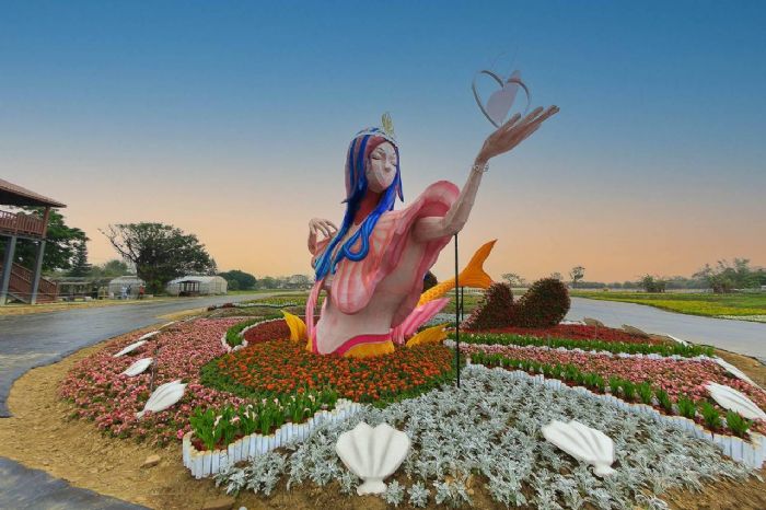 繽紛浪漫海底之旅 桃園六萬株彩色海芋季登場