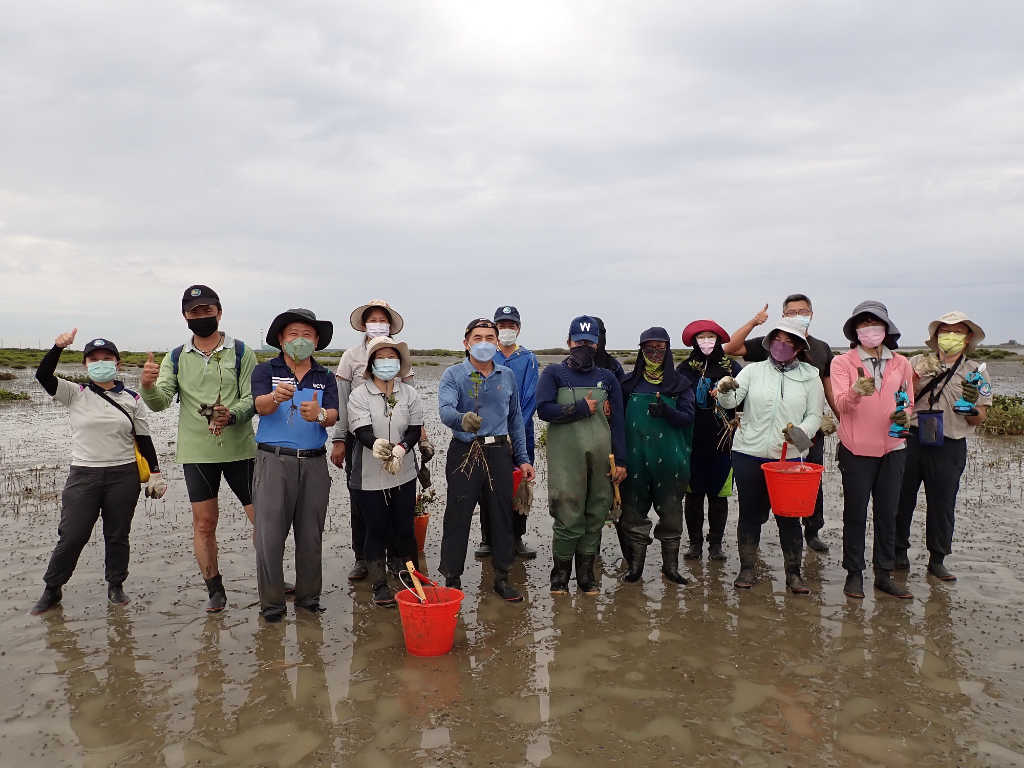 守護生態 台南台江國家公園管理處驚喜發現三棘鱟個體