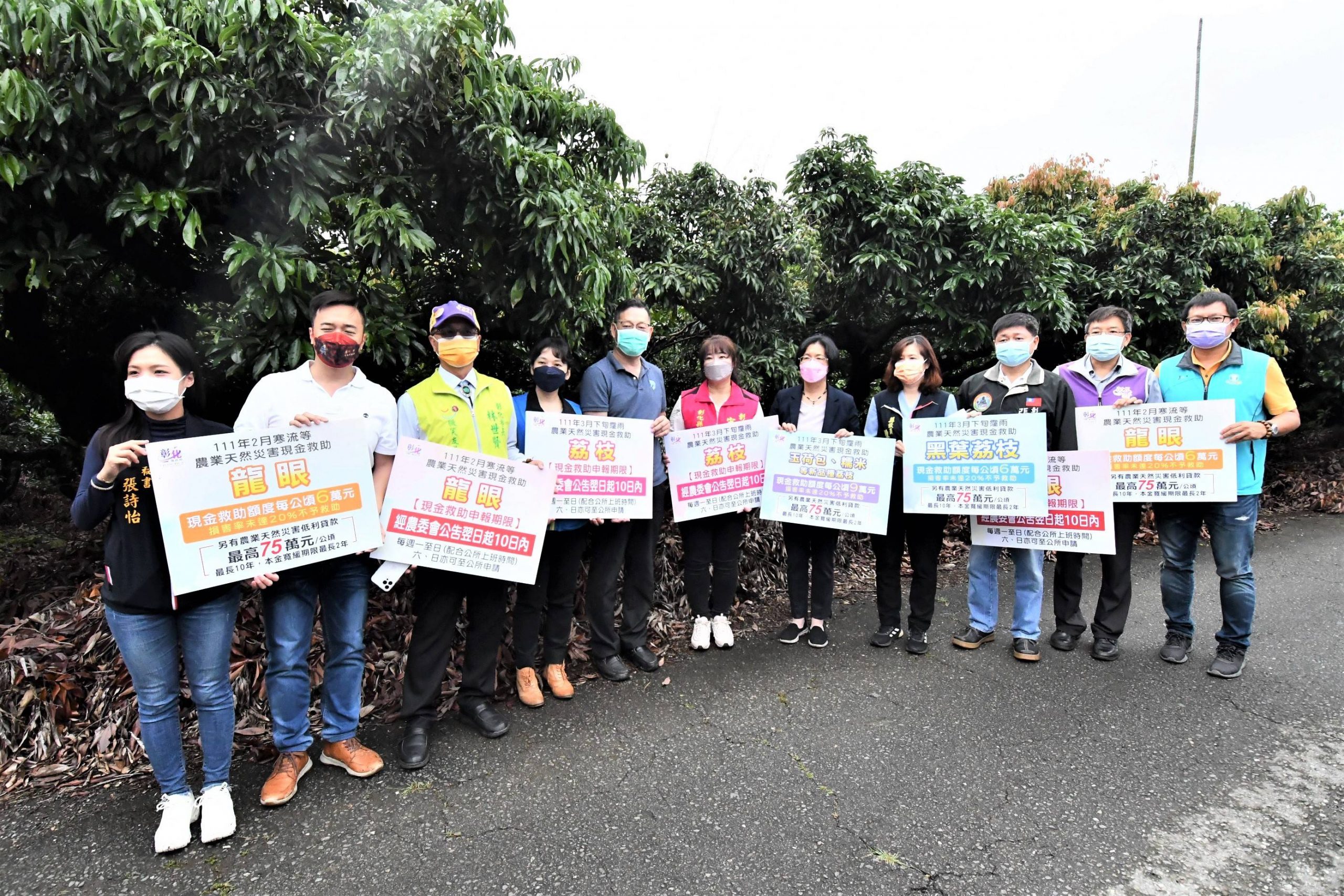 彰化縣荔枝及龍眼災損嚴重 縣府向中央爭取全縣補助