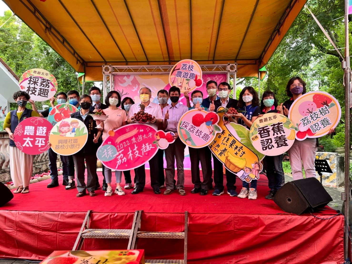 台中市太平艷紅荔枝正香甜 農業局邀共享採果趣