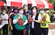 彰化德興社區荔枝農遊 王惠美：吃在地享當季