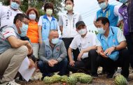 豪大雨下不停 苗栗西瓜、香瓜、紅棗受損嚴重 縣長徐耀昌關心