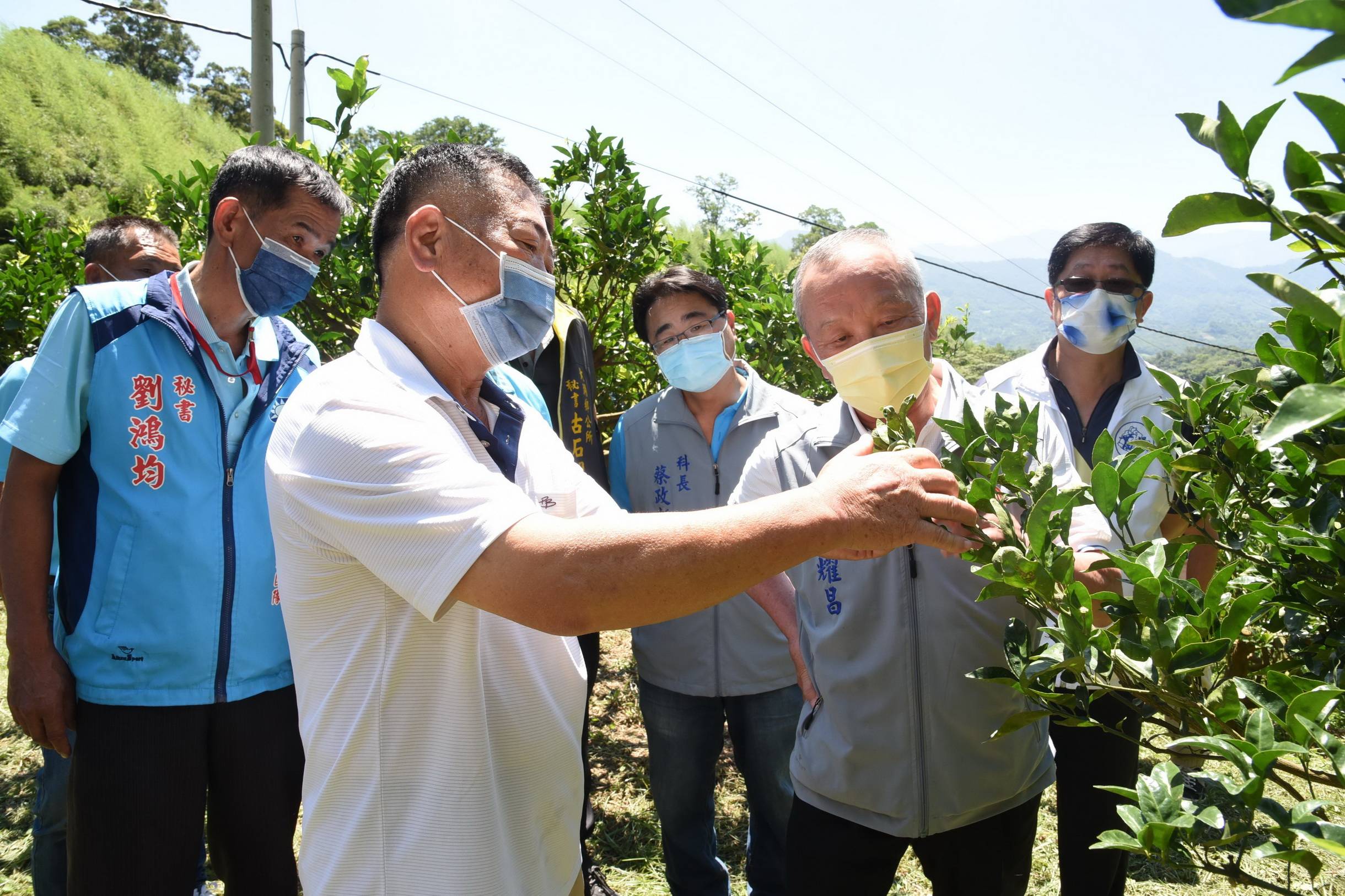 苗栗縣葡萄、瓜果及紅棗嚴重農損 徐耀昌指示加速爭取天災現金救助