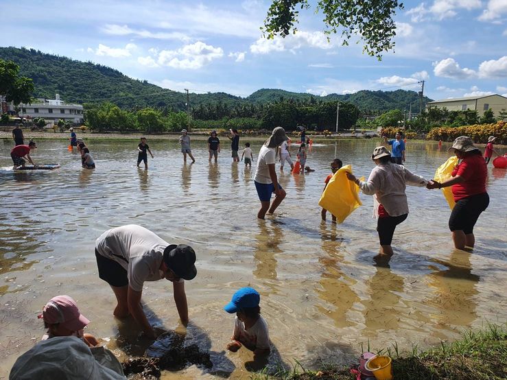 高雄旗山口隘庄泥巴節線上報名 體驗農田趣事
