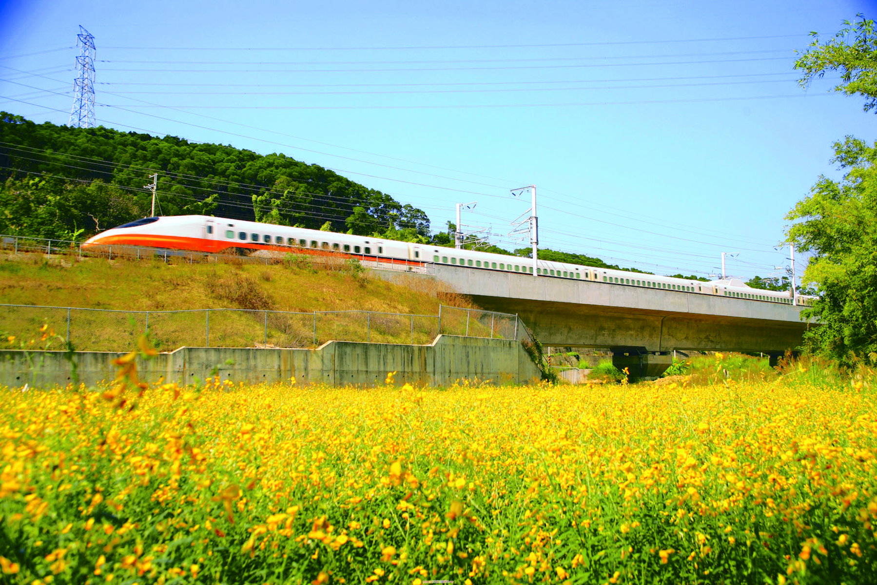 搭高鐵返校 大學生開學返校五折優惠列車 一月十二日開放購票
