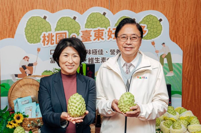 桃園與台東攜手行銷鳳梨釋迦 張善政鼓勵踴躍訂購