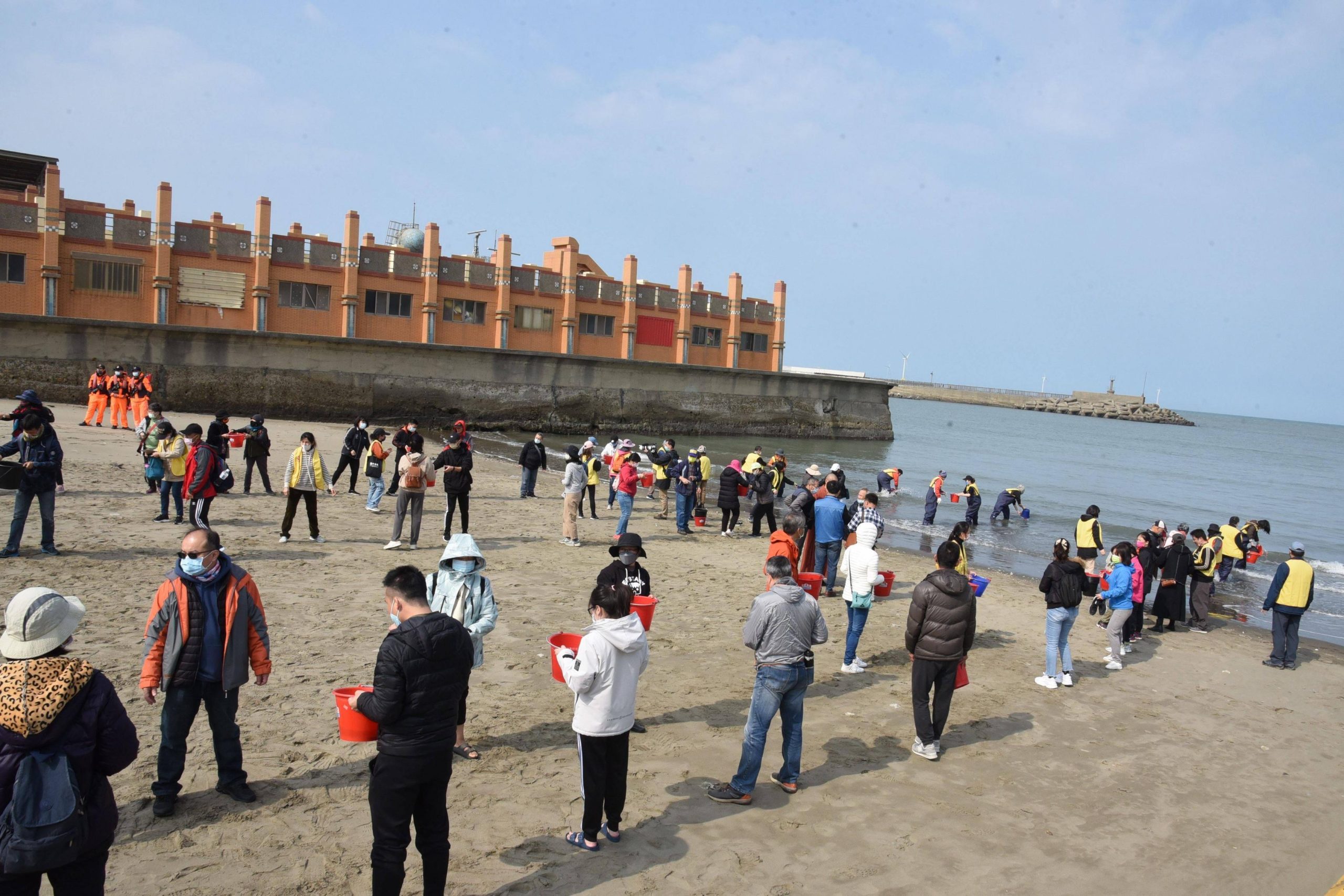 外埔漁港放流4萬尾黃鰭鯛魚苗　豐富海洋資源