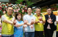 母親節買康乃馨 蔣萬安：台北花卉市場輕鬆選購