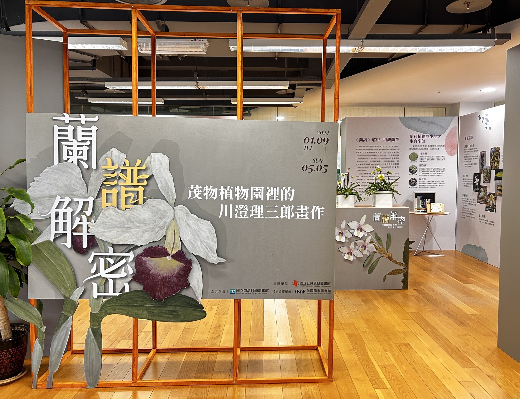 國資圖鎮館之寶《蘭譜》解析蘭花科普知識