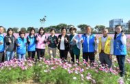 春遊彰化賞花海 埔鹽鄉南新農村花海藝術節綻放