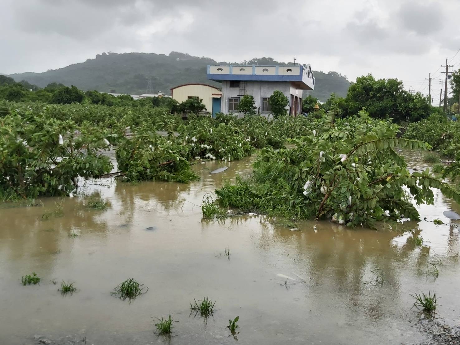 高市府全面動員、72小時大作戰 今午前完成搶救民宅地下室積淹水