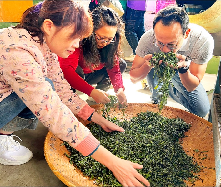 高雄提升六龜山茶故事館功能 將設茶藝師訓練場域