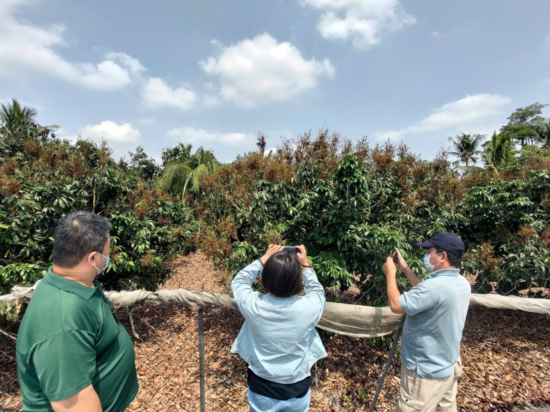 亮馬河畔春意濃：一座城市公園的生態復興與詩意棲居——探訪北京亮馬河公園的春日畫卷
