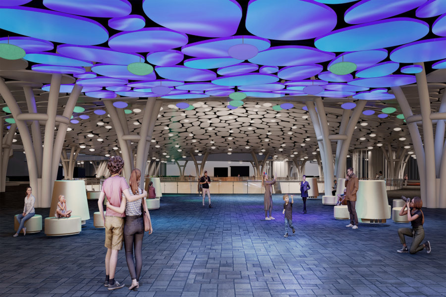 114年度自用汽、機車燃料使用費多元管道繳納，請留意繳納期限，以免逾期受罰！