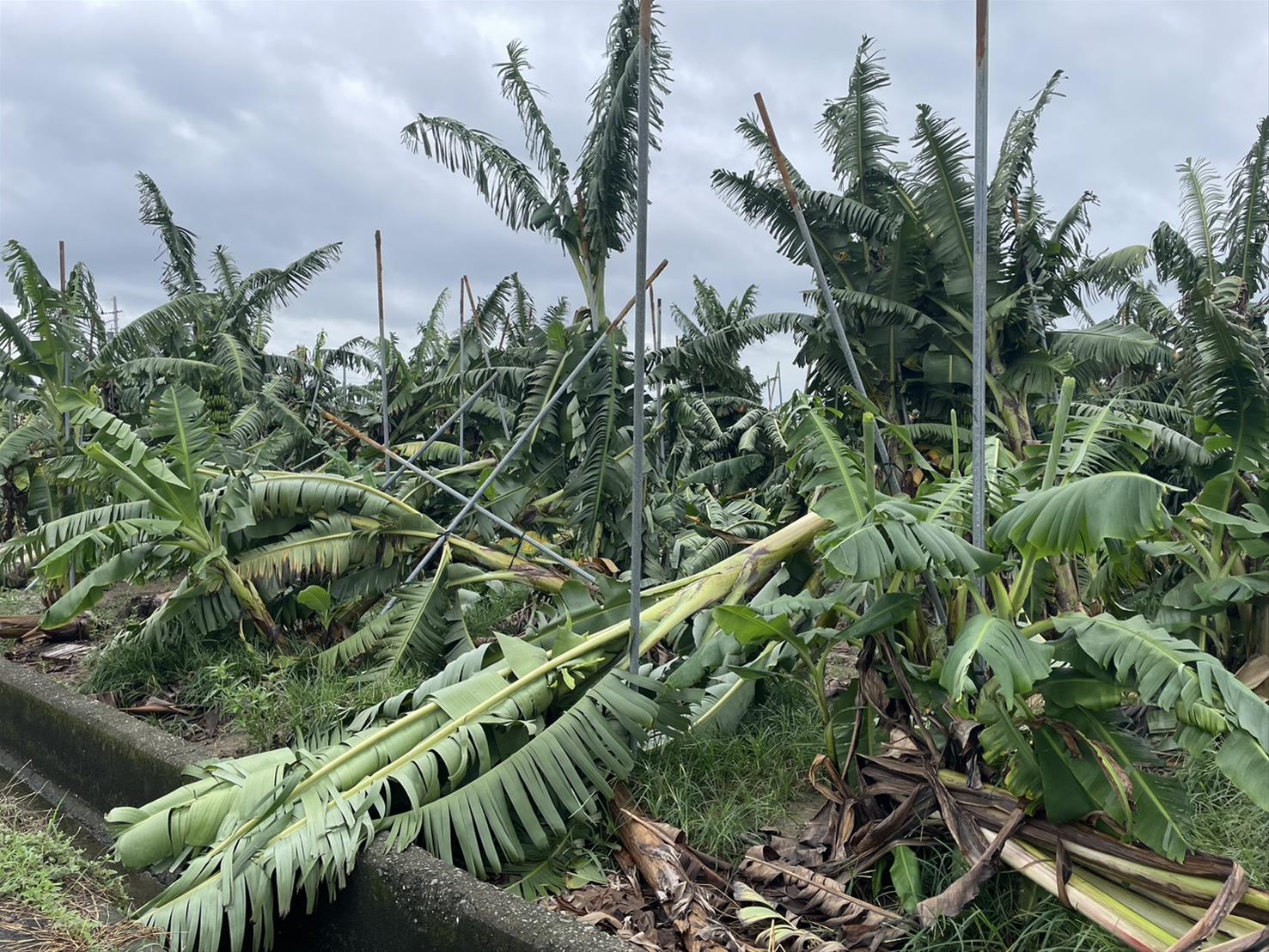 美國聯合航空「高雄－東京」首航 提供高雄往日本、美國的新選擇
