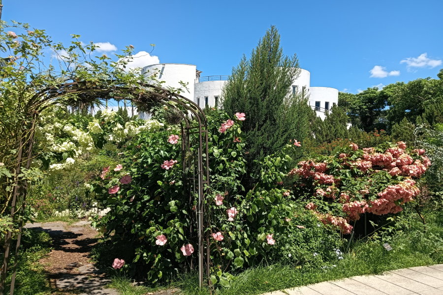步入新生公園花花世界 啟動島嶼度假心情