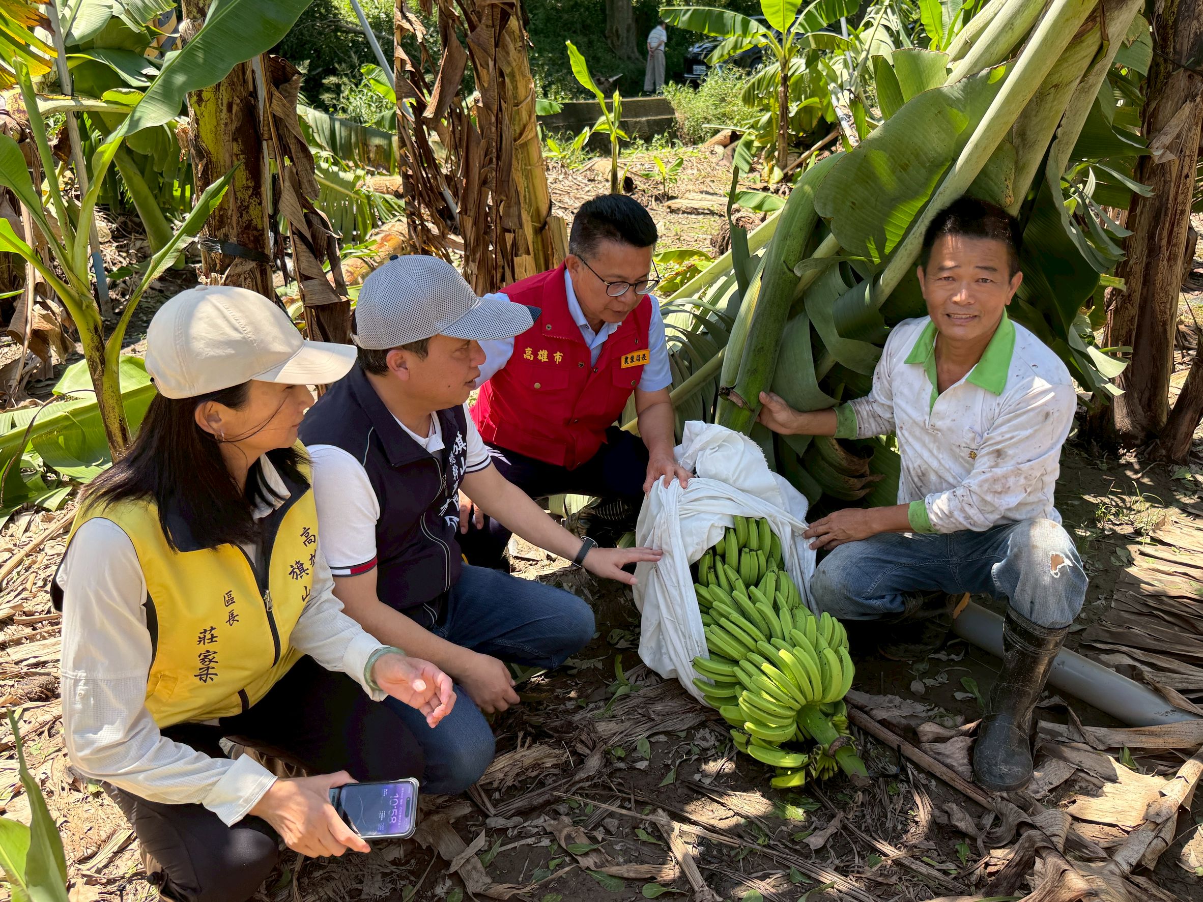 高雄農產業救助申請 延長至8月21日截止