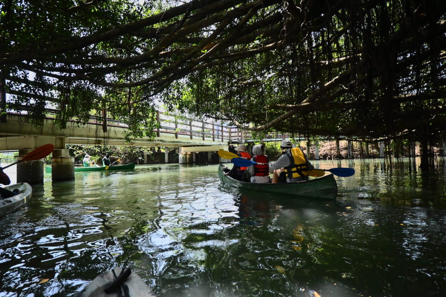 世界河川日 北市淨溪PLUS大串連 公私攜手護生態
