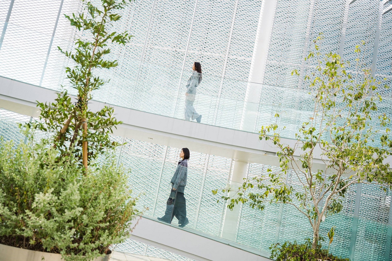 台中綠美圖10月28日試營運 三週展演揭幕文化新地標