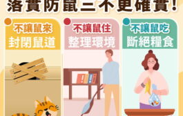 北市出現漢他病毒病例 衛生局提醒民眾落實防鼠3不措施