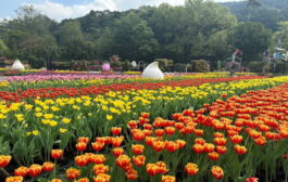 台北燈節20個遊程帶你玩限定旅宿優惠輕鬆省