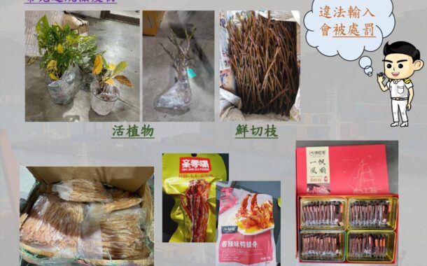 基隆關提醒民眾勿跨境寄送「應施檢疫」植栽或肉類製品