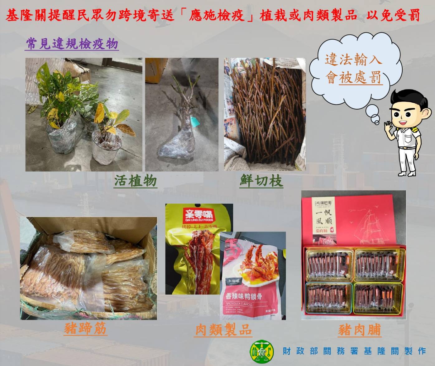 基隆關提醒民眾勿跨境寄送「應施檢疫」植栽或肉類製品