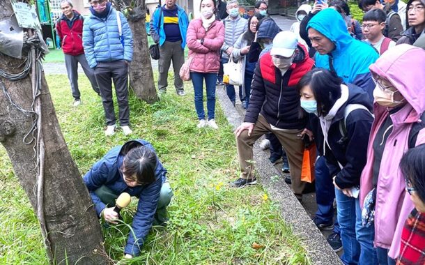 守護校園綠蔭 新北推動樹木褐根病專業防治培力