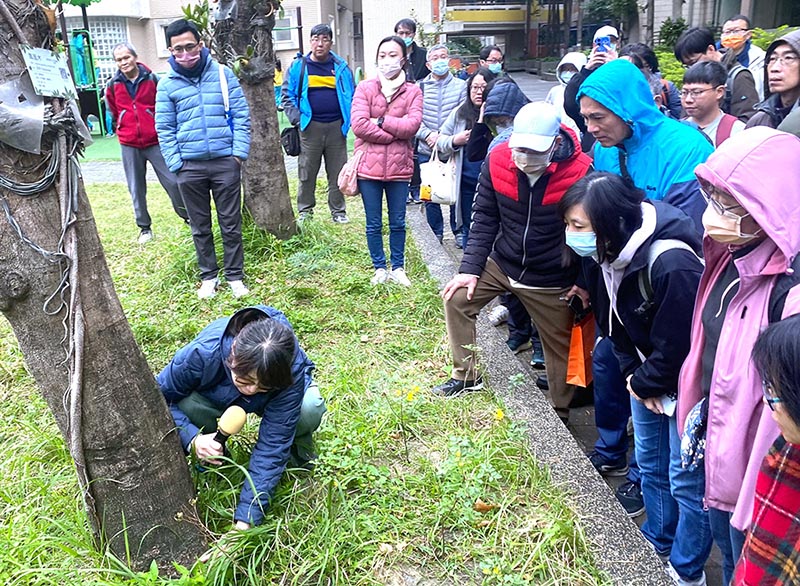 守護校園綠蔭 新北推動樹木褐根病專業防治培力
