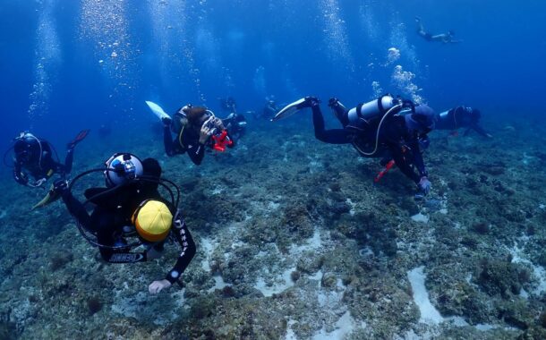 海委會加碼 攜手友善潛店守護蔚藍海洋