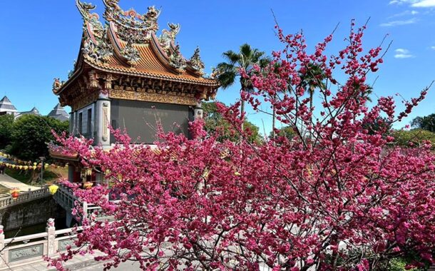 春暖花開迎好運 林口竹林山寺賞櫻祈福一次滿足