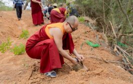 新北農業局攜手台灣桑耶寺植樹 打造永續環境