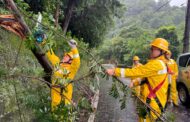 巴威挾帶強風暴雨 釀全台曾停電逾20萬戶