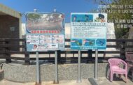 遊客摸海龜遭海巡移送 屏縣府籲民眾共同守護海龜避免觸法
