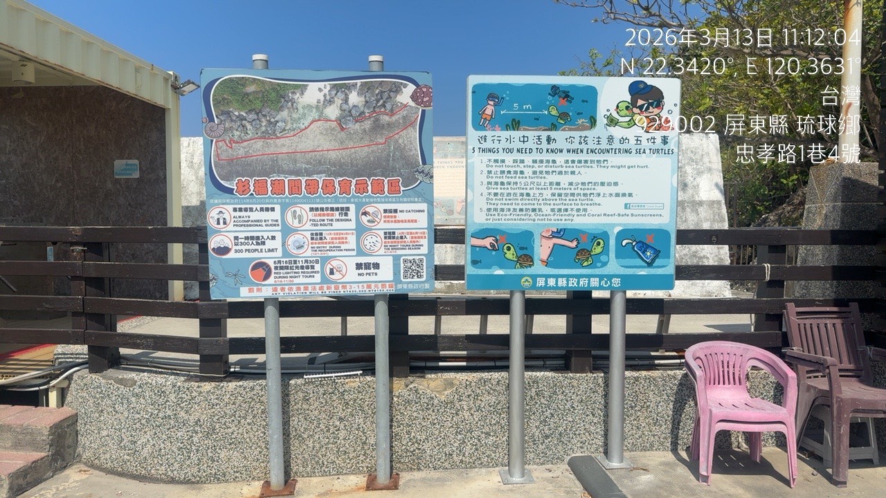 遊客摸海龜遭海巡移送 屏縣府籲民眾共同守護海龜避免觸法